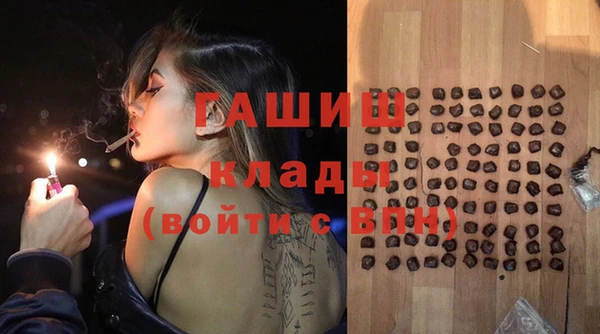 гидра Алексеевка